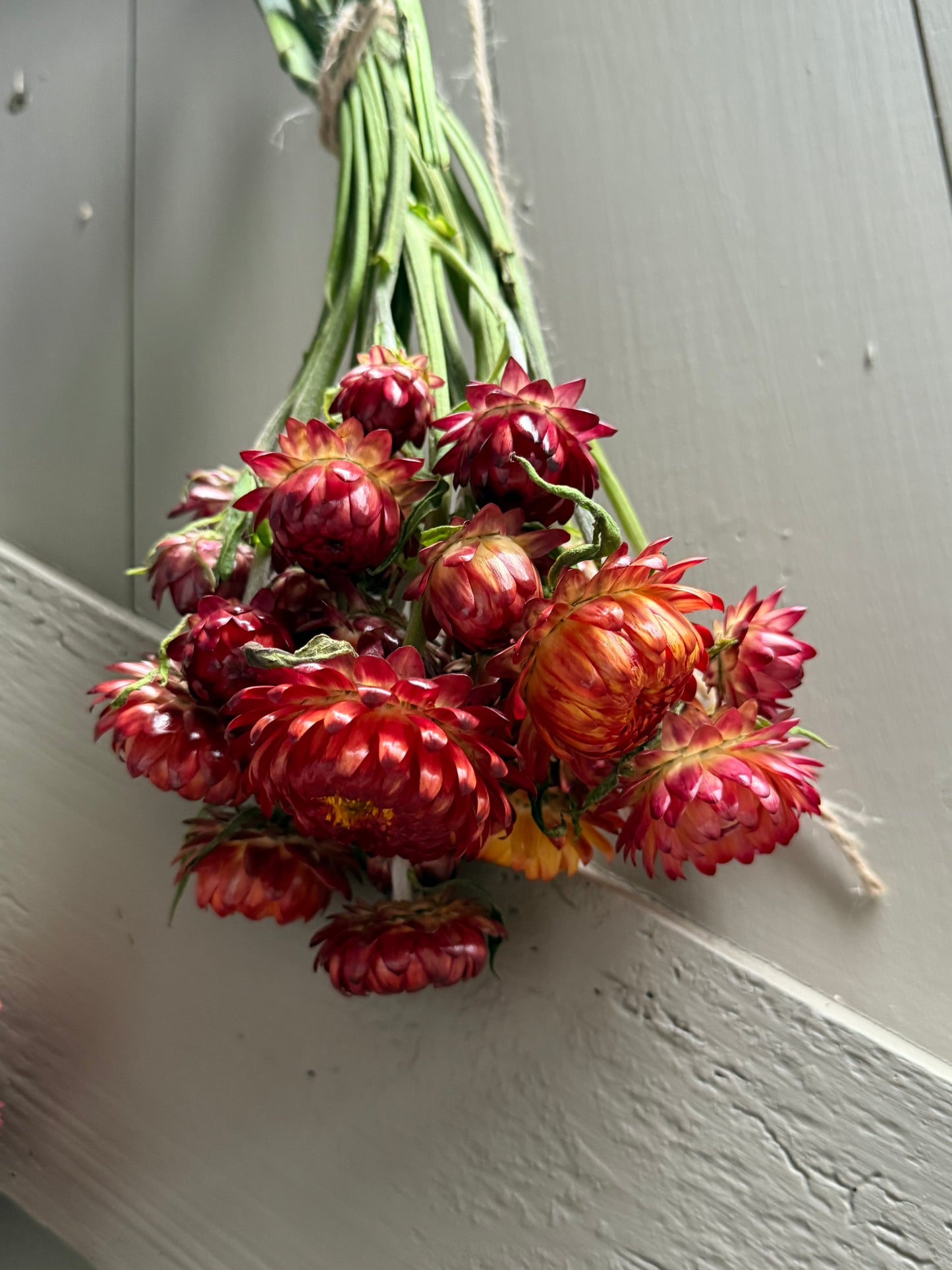 Autumn Wreath Workshop Saturday 12th September 11am