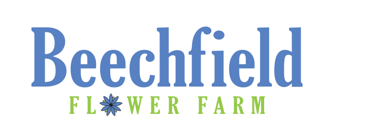 Beechfield Flower Farm